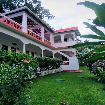 Polish Princess Guest House Port Antonio Kültér fotó