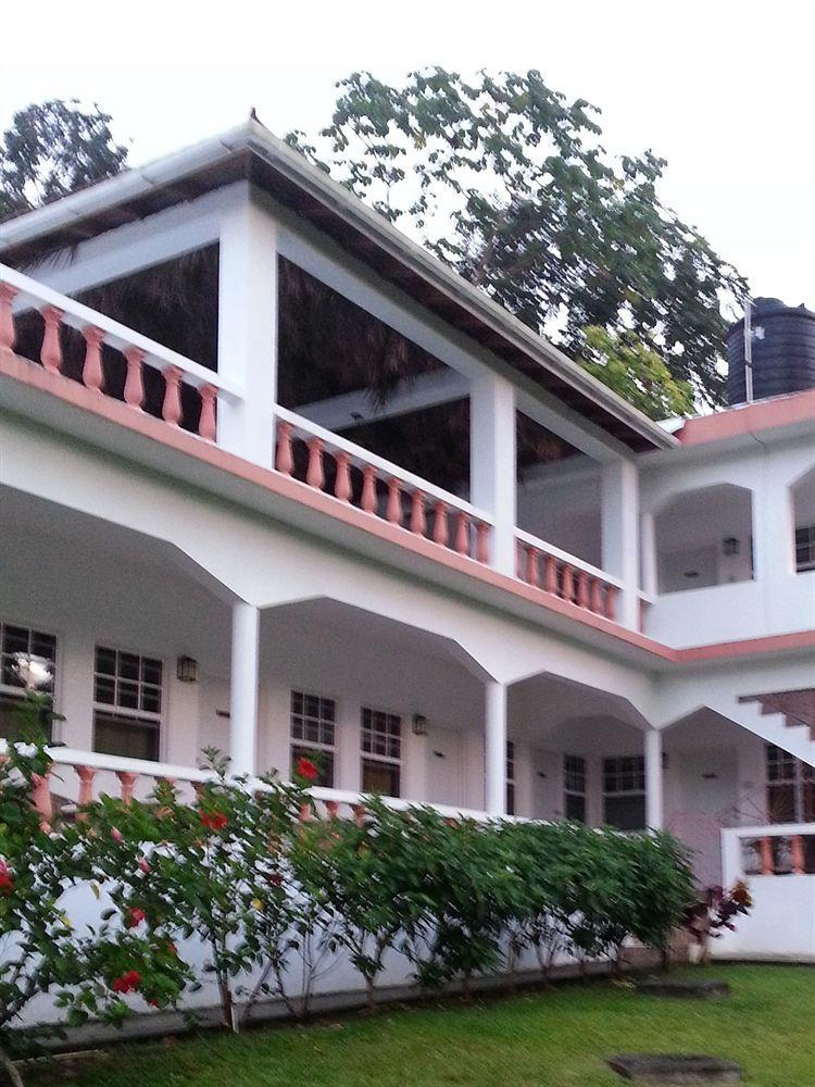 Polish Princess Guest House Port Antonio Kültér fotó