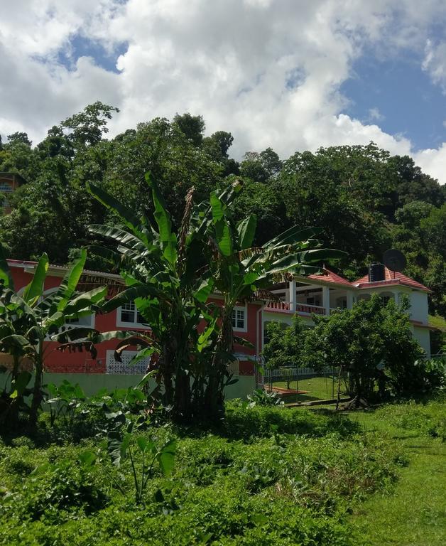 Polish Princess Guest House Port Antonio Kültér fotó