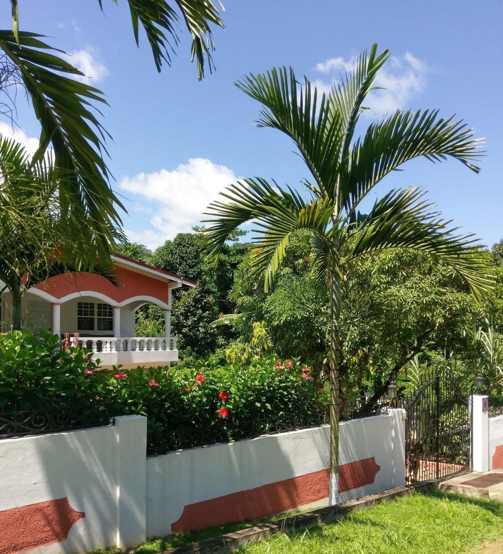 Polish Princess Guest House Port Antonio Kültér fotó