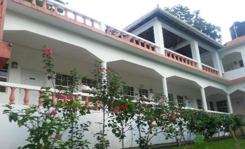 Polish Princess Guest House Port Antonio Kültér fotó